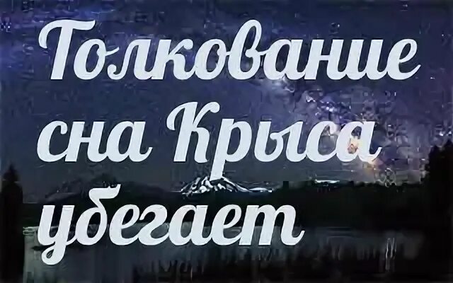 Крыса во сне к чему снится. Сонник крысы во сне. Крыса во сне для женщины. К чему во сне видеть крысу.