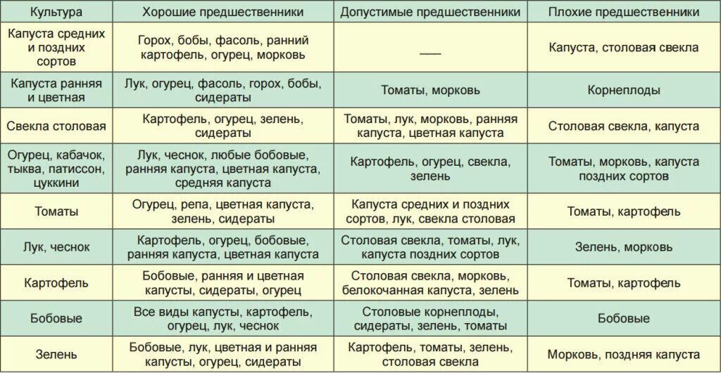 После каких культур можно огурцы