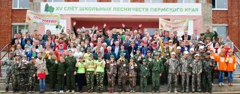 Управление лесничествами пермского края