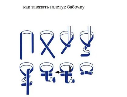 Как завязывать бабочку