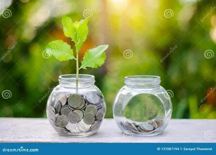 Bottle money