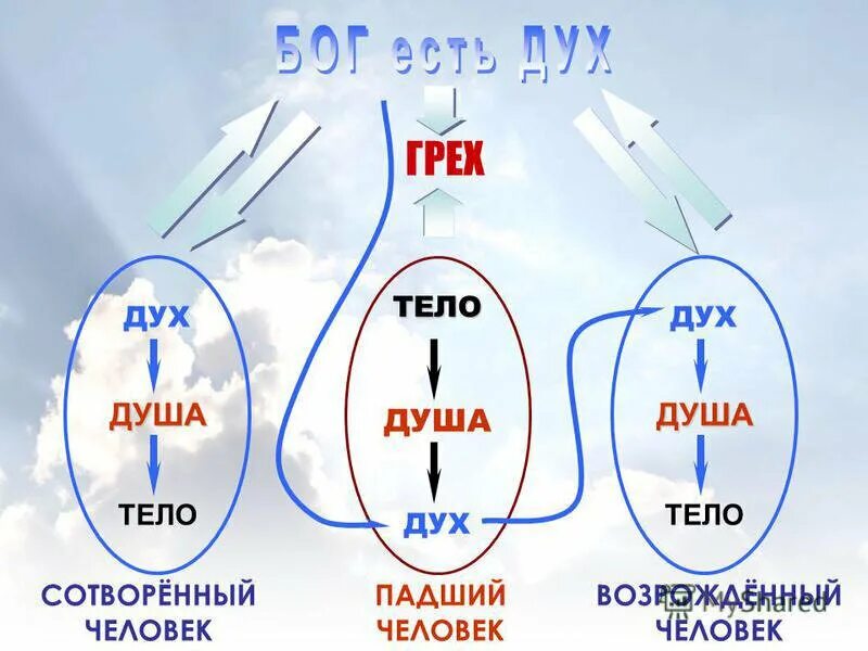 Душа и ее составляющие. Дух, душа и тело. Человек дух душа тело. Триединство человека дух душа и тело. Тело ум душа дух.