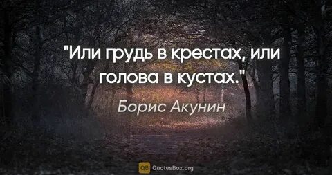 Она в крестах или голова в кустах