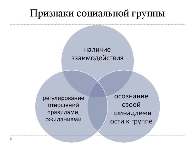 5 соц групп. Признакисоцикальной группы. Признаки социальной группы. Признаки социально йгрурпы. Социал ныегруппы признаки.