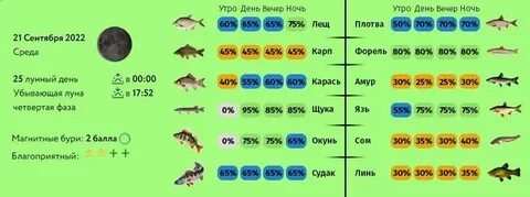 Клев рыбы в можайске