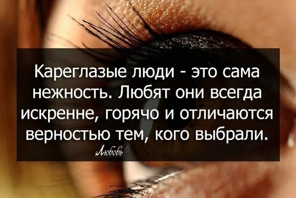 Глаза девушки цитаты. Стихи про карие глаза. цитаты про карие глаза. высказывания про карие глаза. карие глаза афоризмы.
