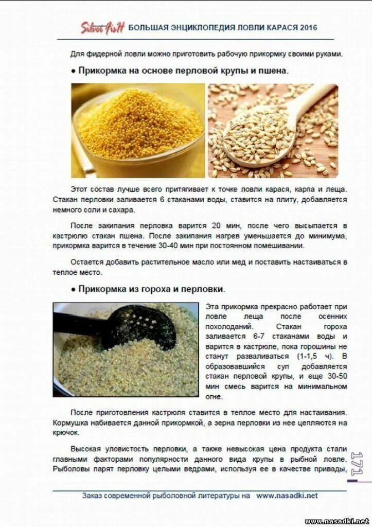 Домашняя прикормка на карася летом. Прикорм для рыбалки своими руками рецепт. рецепт приготовления прикормки для рыбалки. прикормка для карася своими руками. прикормка на карася своими руками прикормка.