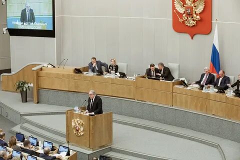 Государственная дума 2020
