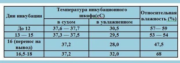 Режим инкубации перепелов. Температурный режим для вывода перепелов в инкубаторе. Режим инкубации перепелиных яиц таблица. Таблица инкубации перепелиных яиц в инкубаторе. Таблица вывода перепелов в инкубаторе в домашних условиях.