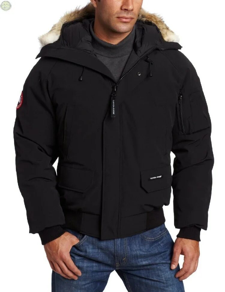 Canada Goose Chilliwack Bomber. Бомбер Canada Goose Chilliwack. Canada Goose Chilliwack. Canada Goose Mens Chilliwack.