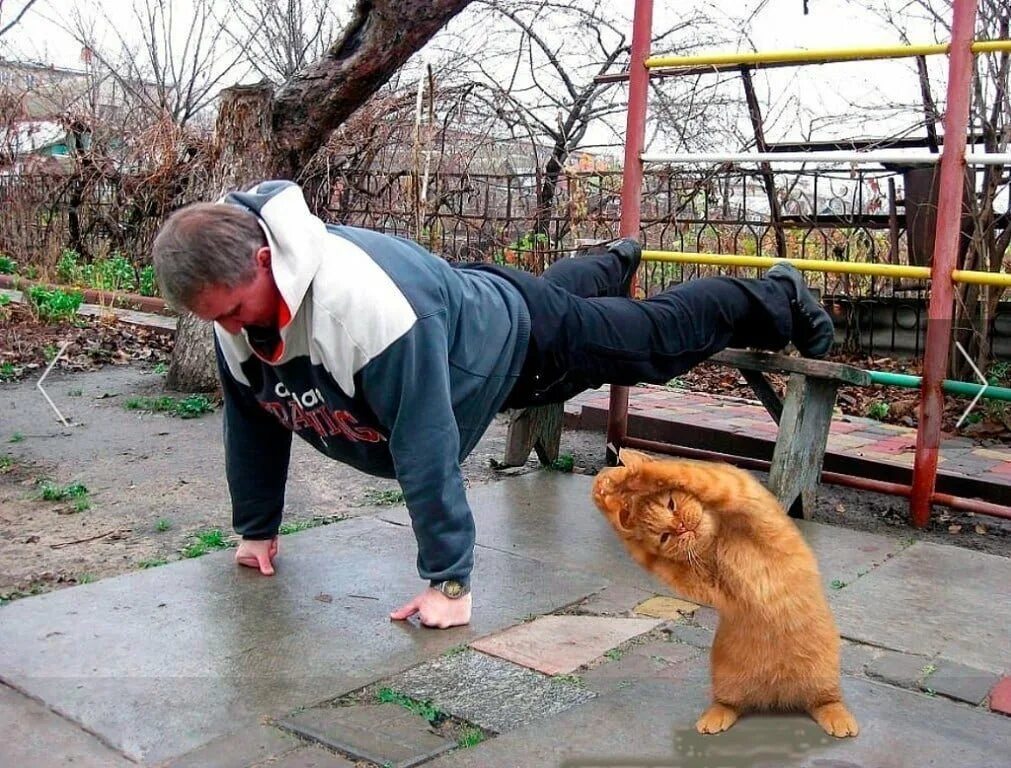 Анекдот про зарядку