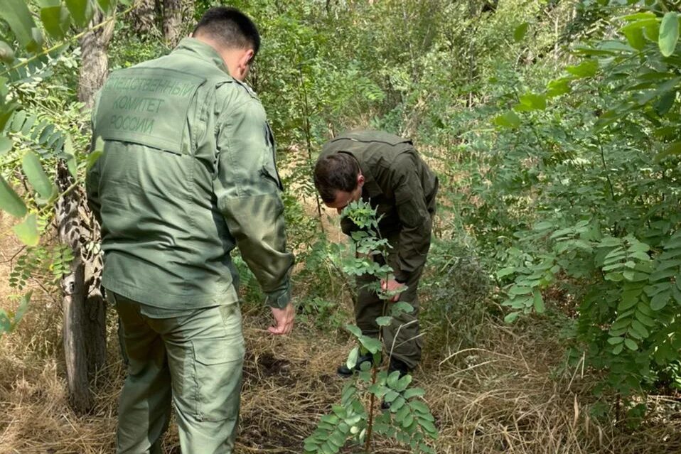 Пропавшие люди екатеринбург 2021. Пропавшая девочка найдена мертвой. Где нашли пропавшую девочку. Где нашли пропавшую девочку. Екатеринбург потерялся человек.