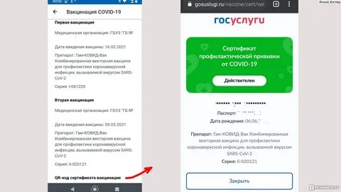 Госуслуги срок сертификата