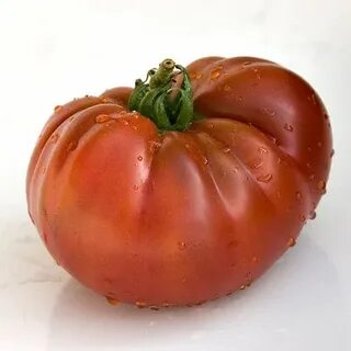 Сорт тасманский шоколад отзывы