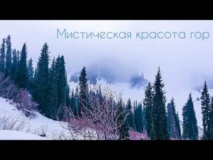 Красота это горе