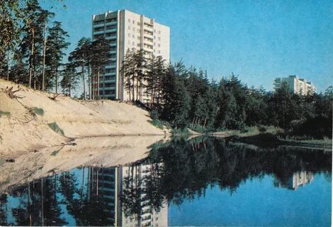 В каком году статус города сосновый бор
