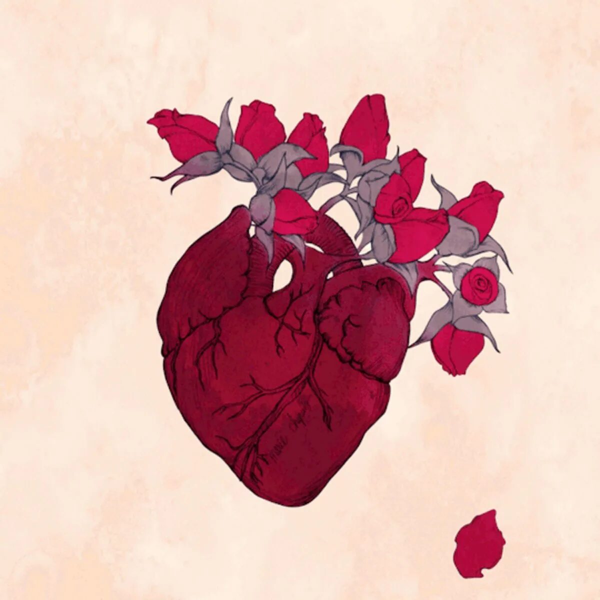 красный обманывать