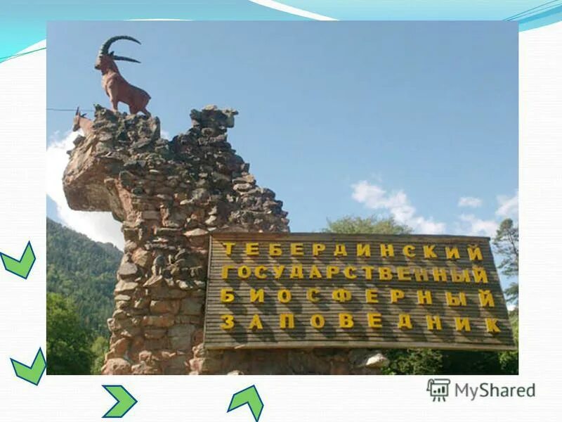 Горит тебердинский заповедник. Домбай зоопарк тебердинский. Заповедник карачаево черкесской республики. Заповедник в карачаево черкесии. Заповедник в карачаево черкесии.