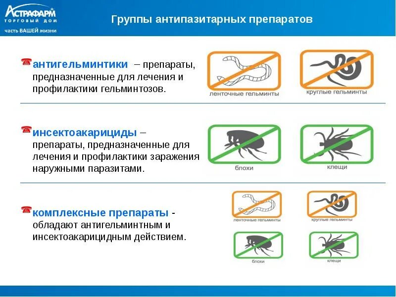 Антипаразитарный препарат для человека широкого. Противопаразитарные средства. Противопаразитарные препараты для человека. Антипаразитарные препараты для человека. Наружные антипаразитарные средства.