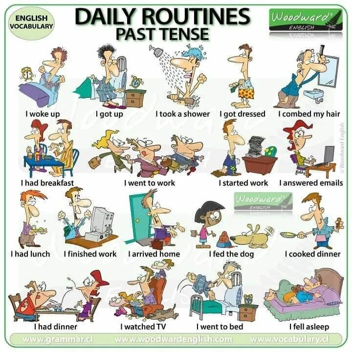 Урок daily routine. Daily routine vocabulary. daily routine vocabulary for kids. daily routine in english. daily routine woodward.