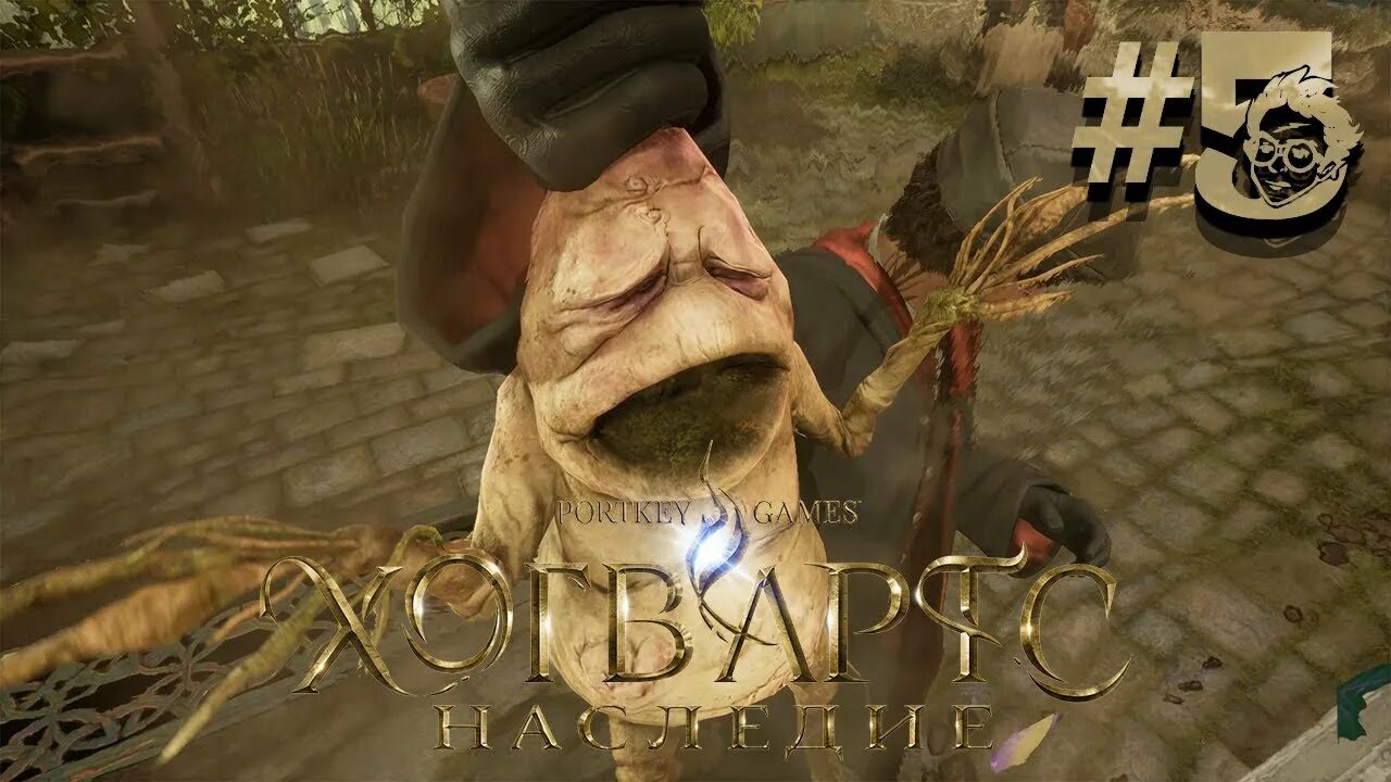 Мандрагора хогвартс