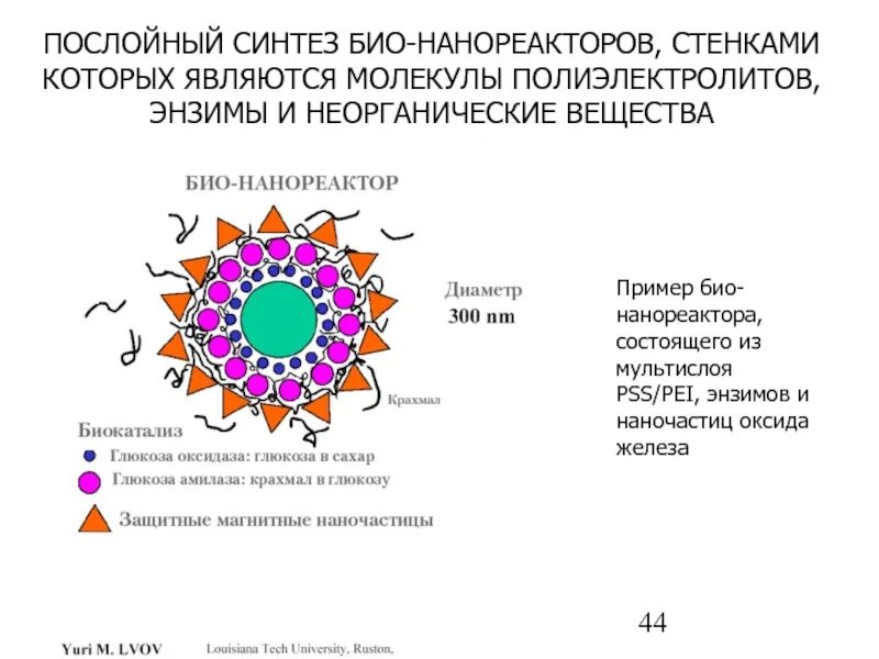Слова с приставкой био. Пример био. Эко буклет. Маркировка эко био органик. Пример био.