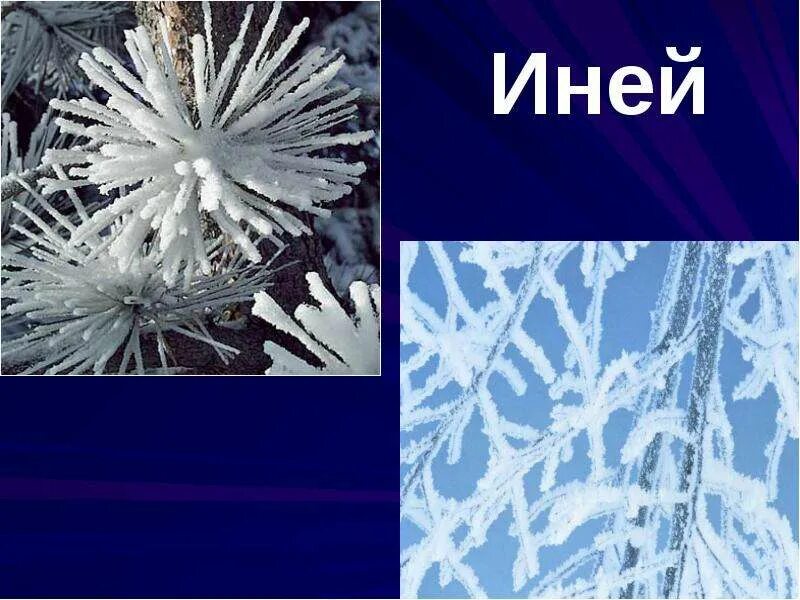 Изморозь это осадки. Иней атмосферные осадки. Дождь, снег, град, иней. Изморозь атмосферные осадки. Иней это осадки.