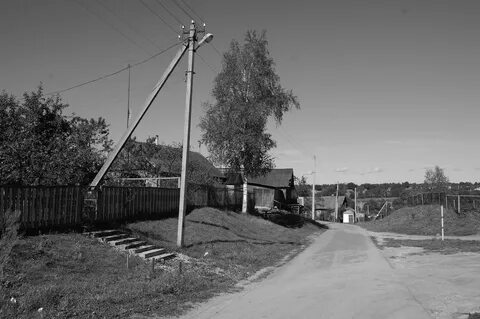 Сорока во дворе к чему примета