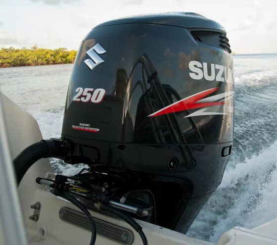 Suzuki 300 apx. Мотор suzuki 250 см³ 2 цилиндра. Мотор suzuki df200. Suzuki df 250. Сузуки дф 250.