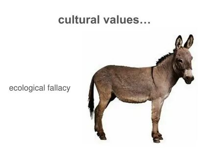 Енді есектің фотосы жақыннан