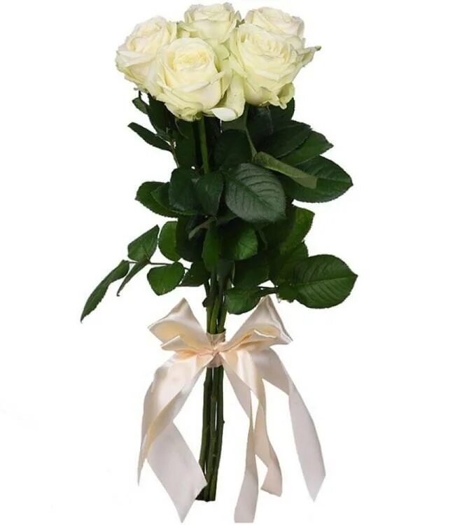 Маленький букет из роз. 5 роз 50 см. 5 роз букет. Букетик из 5 роз. Букет красных роз.