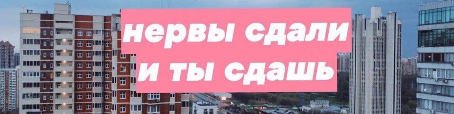 Надеяться сдать. Нервы сдали и я сдам. Нервы сдали и ты сдашь. Нервы сдали и я сдам обои. Нервы сдали и ты сдашь обои.