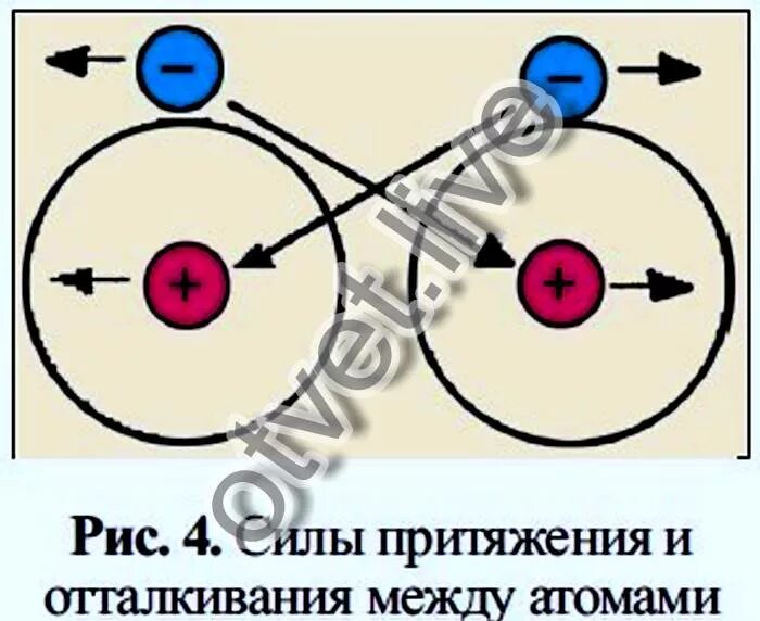 Какие силы действуют в атоме. Нарисуйте силы действующие между электроном и ядром атома. Силы действующие между электроном и ядром атома. Сила между ядром электрона. Нарисуйте силы действующие между электроном и ядром и ядром атома.