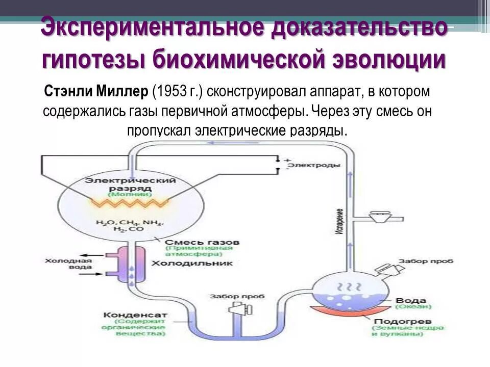 Основные этапы биохимической эволюции Опарина-Холдейна. Доказательства гипотезы биохимической эволюции Опарина. Биохимическая гипотеза Опарина таблица. Биохимическая гипотеза возникновения жизни на земле этапы. Гипотеза биохимического зарождения жизни