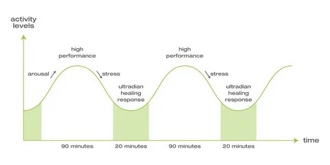 High performance что значит