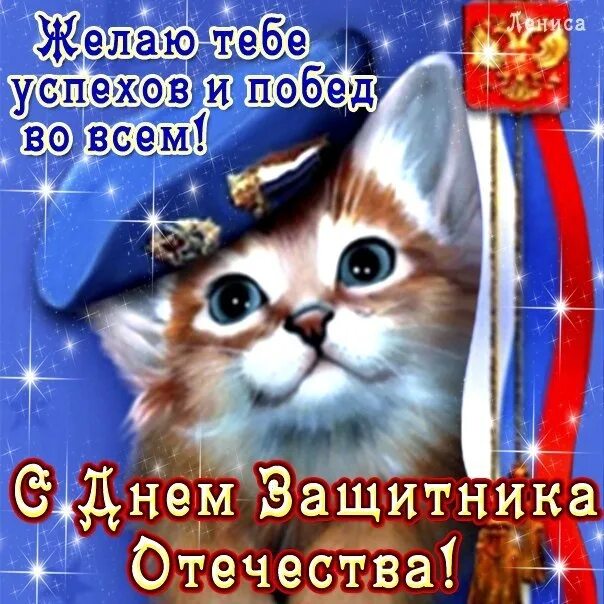 С днем защитника отечества с животными. С днем защитника отечества котик. с днем защитника отечества коты. поздравления с 23 февраля с котами. с днем защитника отечества открытка с котом.