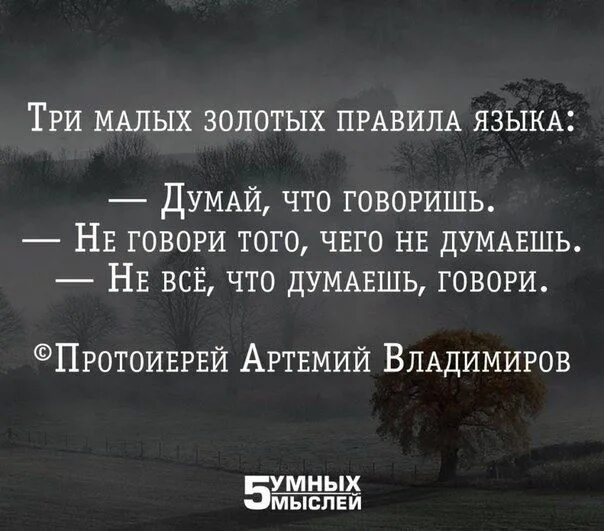 Статусы 5 правил. 5 умных мыслей цитаты. три золотых правила языка думай что. пять умных мыслей цитаты в картинках. три золотых правила языка думай что говоришь.