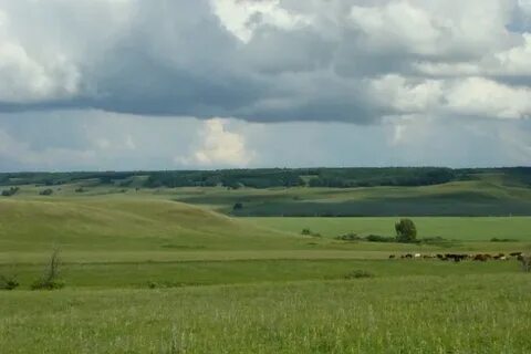 Оренбургская область бугурусланский