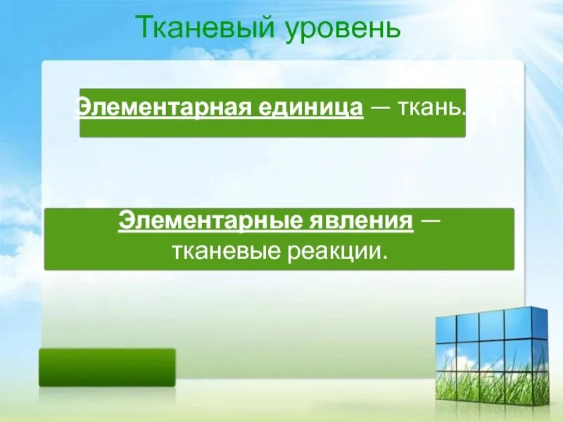 Элементарное эволюционное явление. Элементарное явление популяционно-видового уровня. Элементарная единица популяционно-видового уровня. Показателей элементарного эволюционного явления.