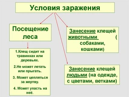 Условия заражения