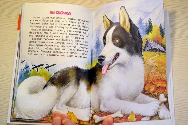 Сказка про собаку. Книги о собаках для детей. Сказки про собак для детей. Короткая сказка про собаку. Читать произведение собака