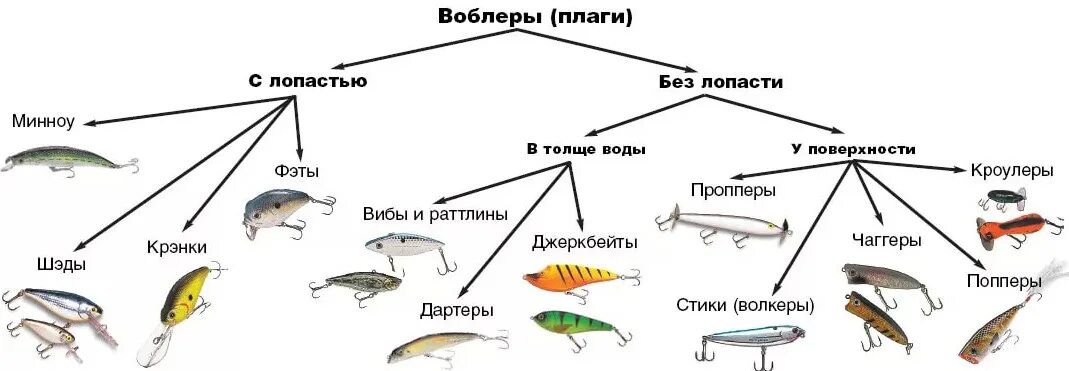 Какую рыбу можно ловить на удочку. Таблица проводок для воблеров. Классификация плавучести воблеров. Классификация воблеров по плавучести и заглублению. Классификация рыболовных приманок.