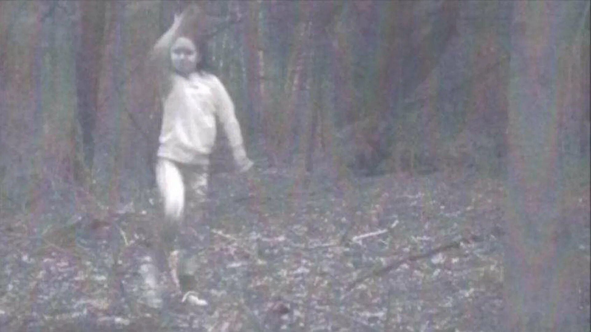 Камера сняла в лесу. Страшные фотографии призраков. призрак в реальной жизни в лесу.