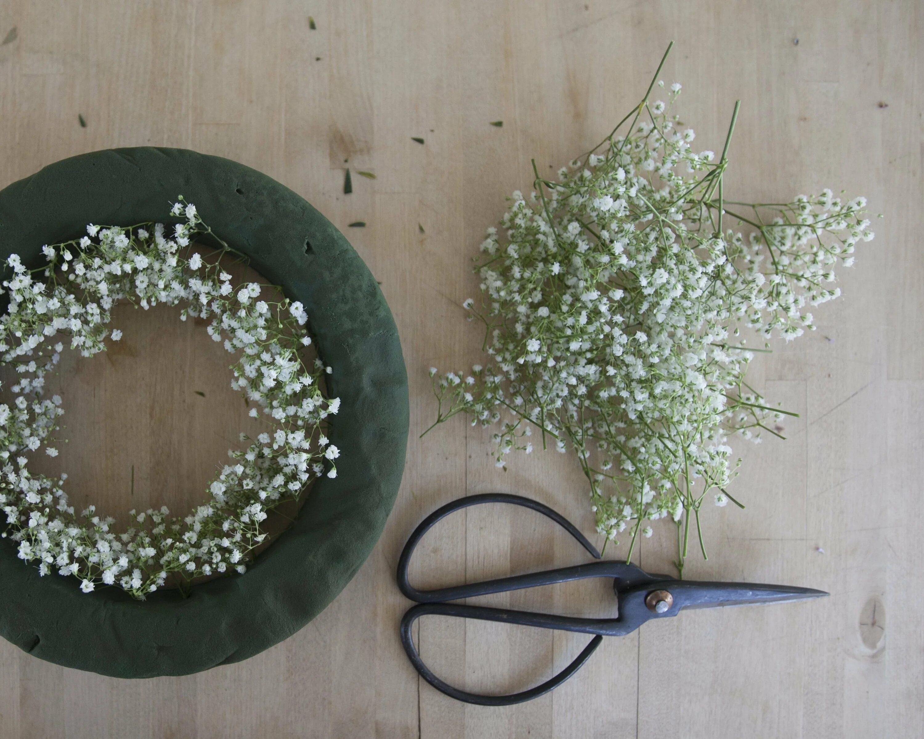 Гипсофила метельчатая паутинка. Нобилис гипсофила венок. Rustic Wedding гипсофилы. Гипсофила метельчатая в композиции. Как ухаживать за гипсофилами в губке