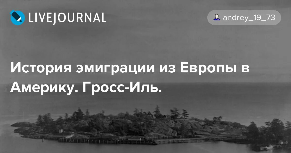 эмиграция. эмиграция и иммиграция. эмиграция рассказы. шмелёв иван сергеевич. алексей николаевич толстой ибикус.