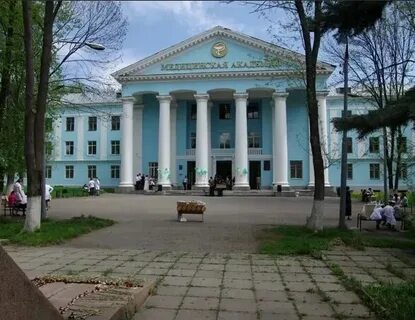 Пиму нижний новгород невзоровых 100