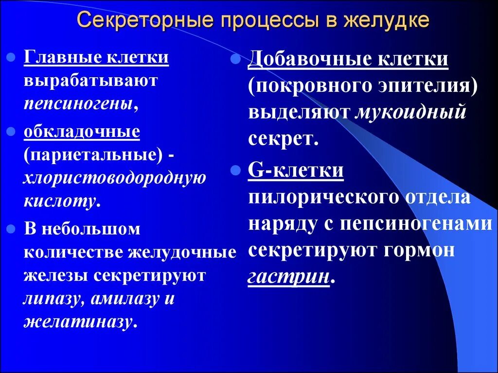 Главные обкладочные и добавочные клетки желудка. Главные клетки желудка секретируют. Главные клетки желез желудка вырабатывают. Главные железы желудка секретируют. Главные клетки желудка вырабатывают