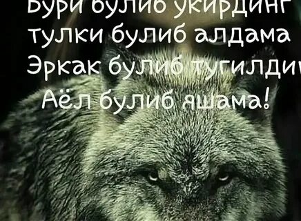 Дуст булиб коламизми узбек