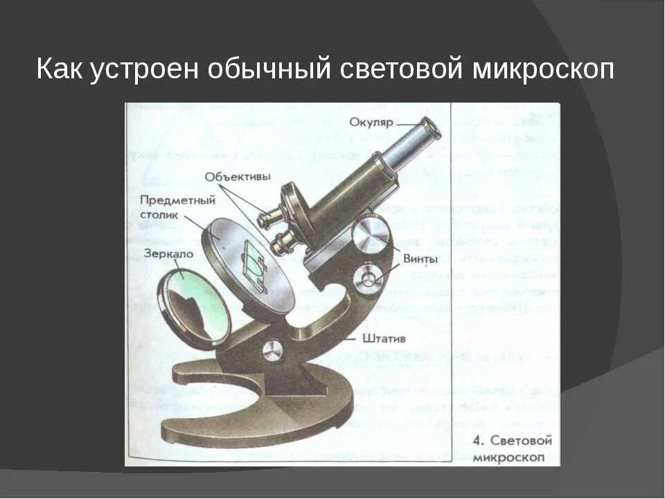 Части светового микроскопа 5 класс биология. Строение микроскопа 5. Строение светового микроскопа схема. Строение светового микроскопа 5 класс биология. Картинки светового микроскопа.