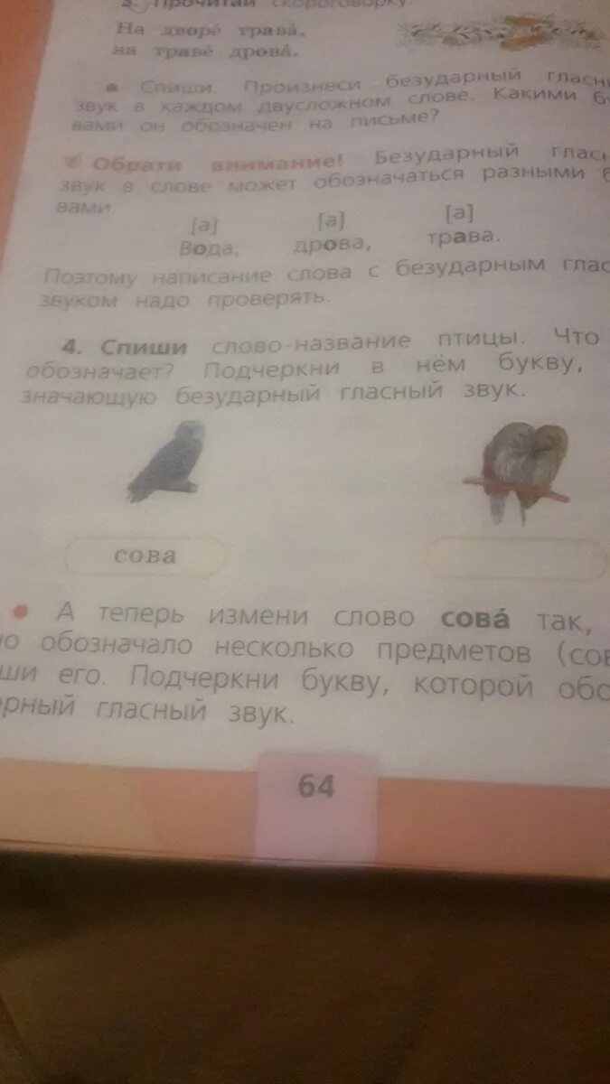 Сова безударный гласный звук. Сова Совы безударный гласный звук. Безударный гласный звук в слове Сова. Выпиши сначала буквы обозначающие гласные звуки затем согласные. Слово сова безударная гласная